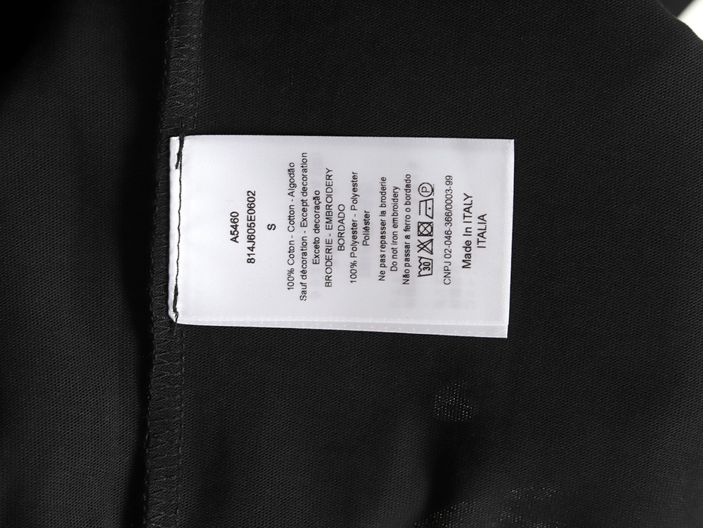 Dior small dragonfly print T-shirt