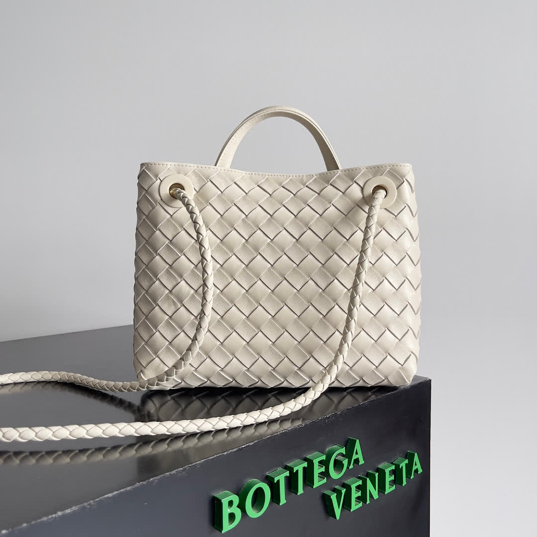 Bottega Veneta Small Andiamo bags 766014 25*22*10.5cm