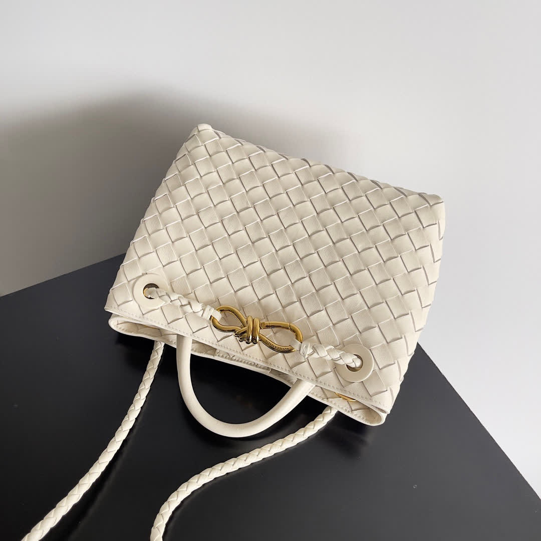 Bottega Veneta Small Andiamo bags 766014 25*22*10.5cm