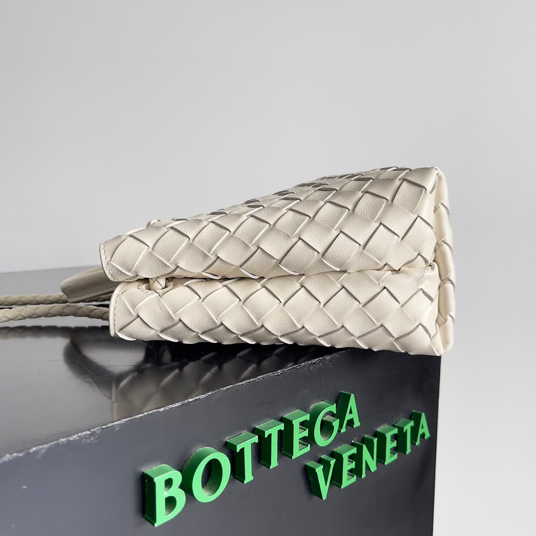 Bottega Veneta Small Andiamo bags 766014 25*22*10.5cm