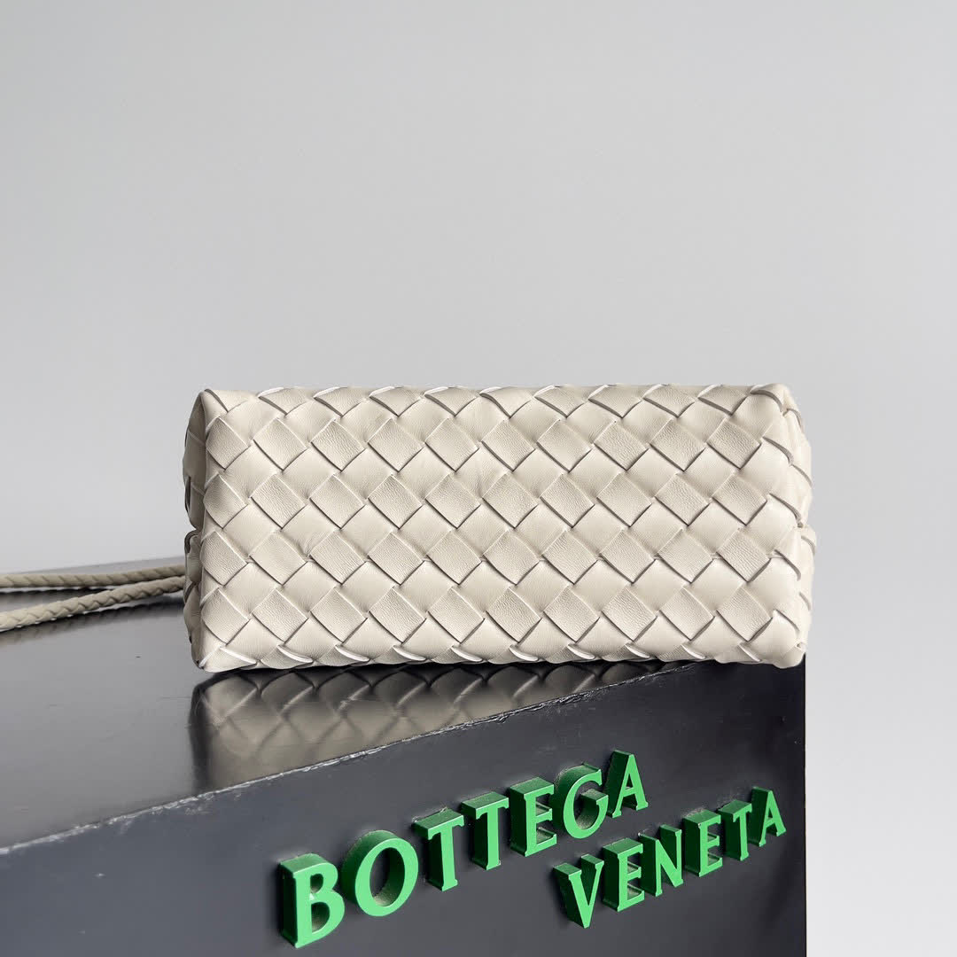 Bottega Veneta Small Andiamo bags 766014 25*22*10.5cm