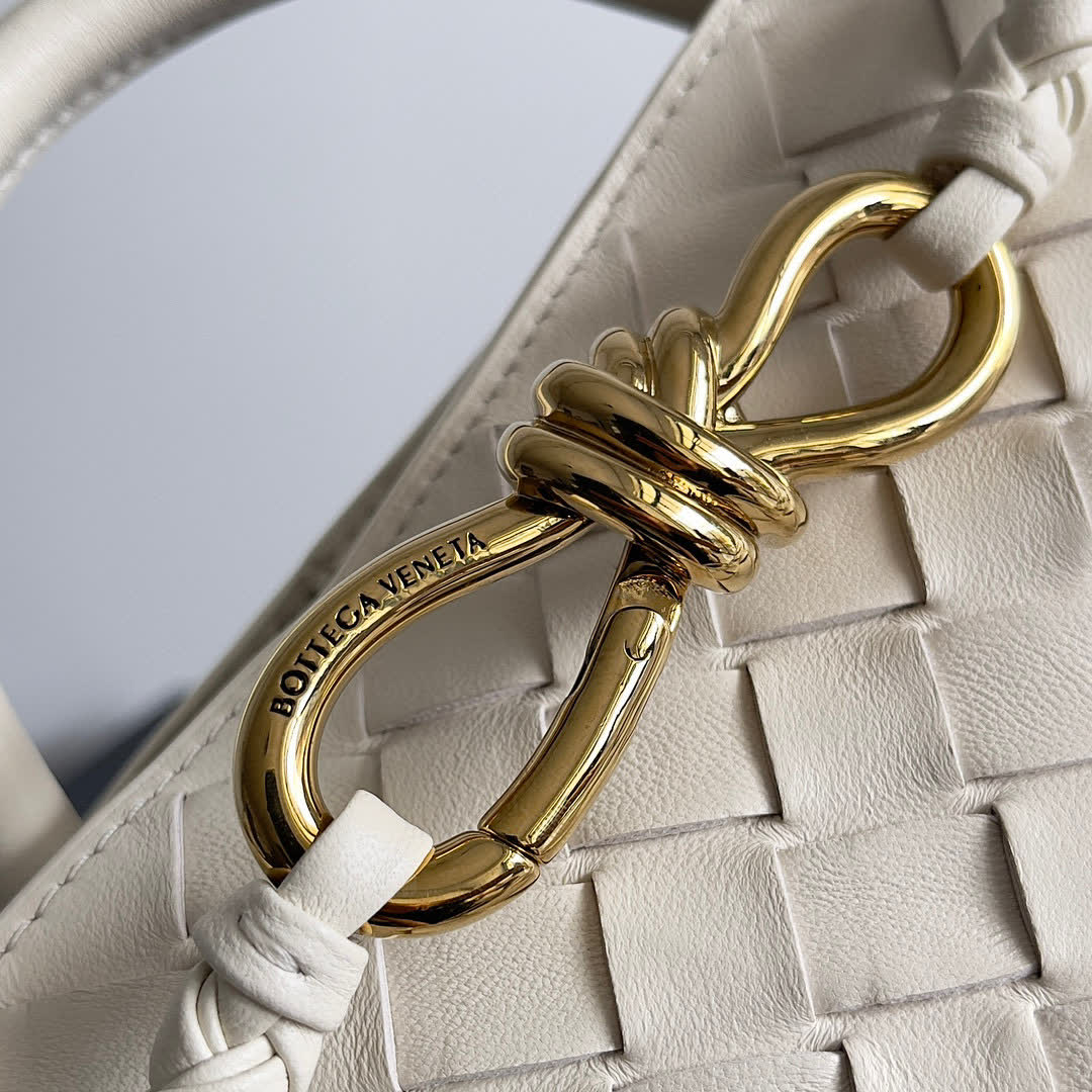 Bottega Veneta Small Andiamo bags 766014 25*22*10.5cm