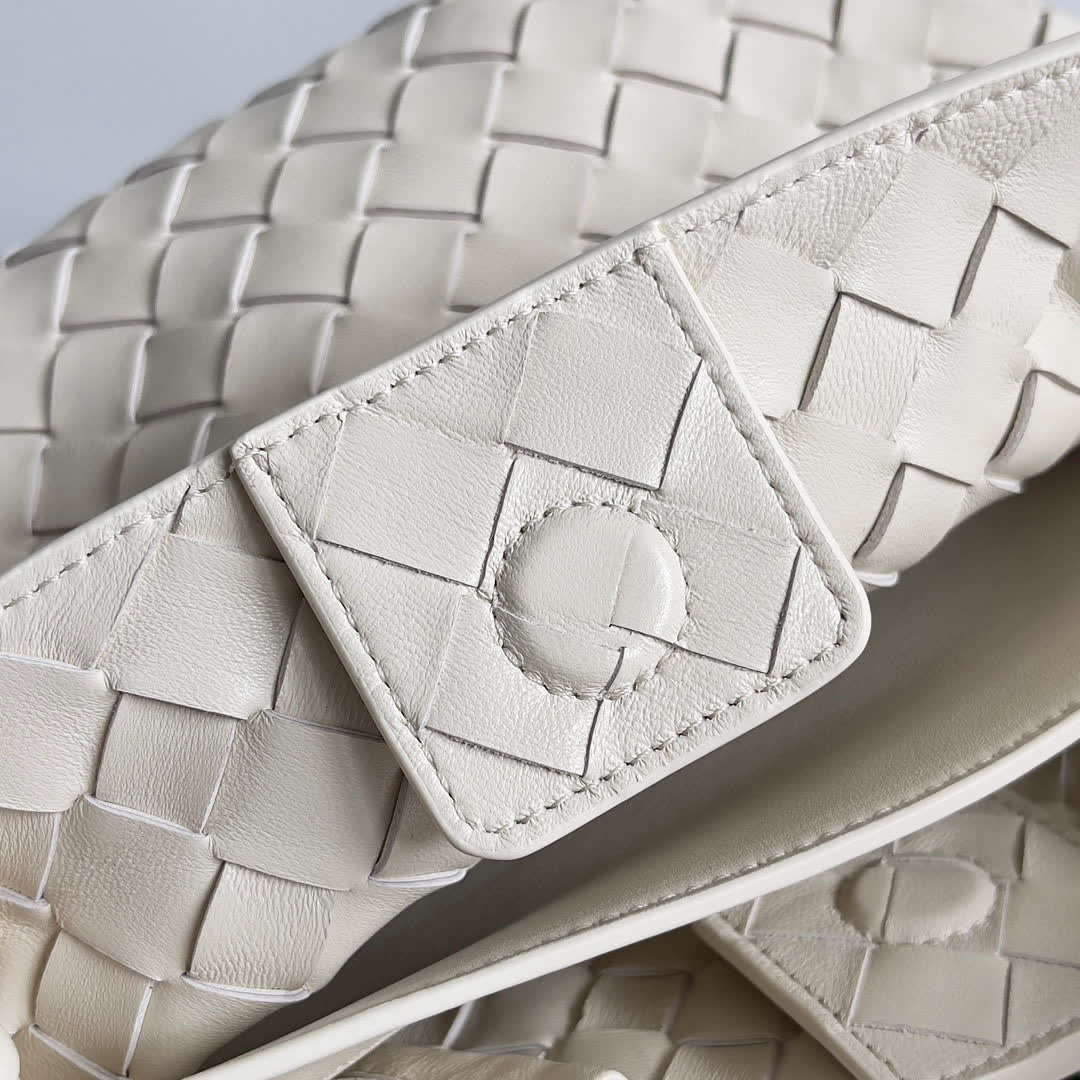 Bottega Veneta Small Andiamo bags 766014 25*22*10.5cm
