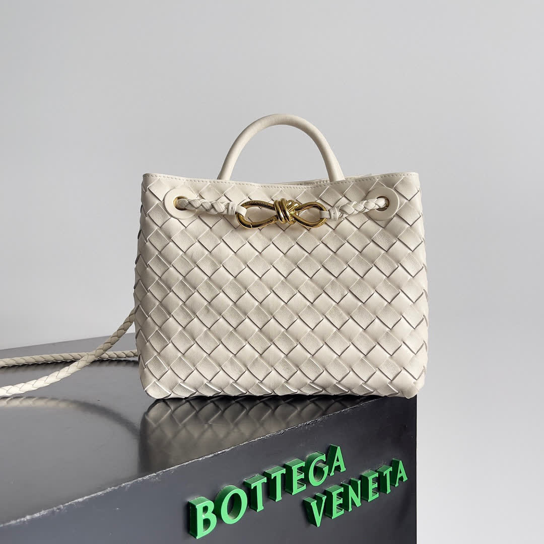 Bottega Veneta Small Andiamo bags 766014 25*22*10.5cm