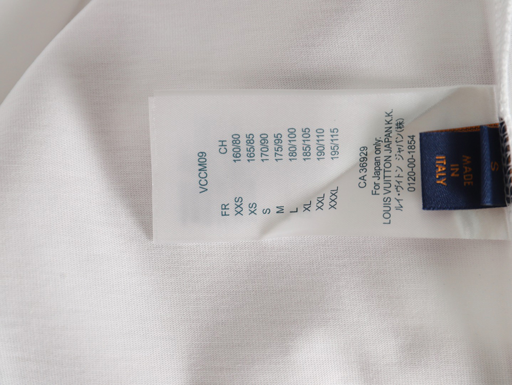 Louis Vuitton Chest Ski Logo Embroidered Short Sleeve T-Shirt