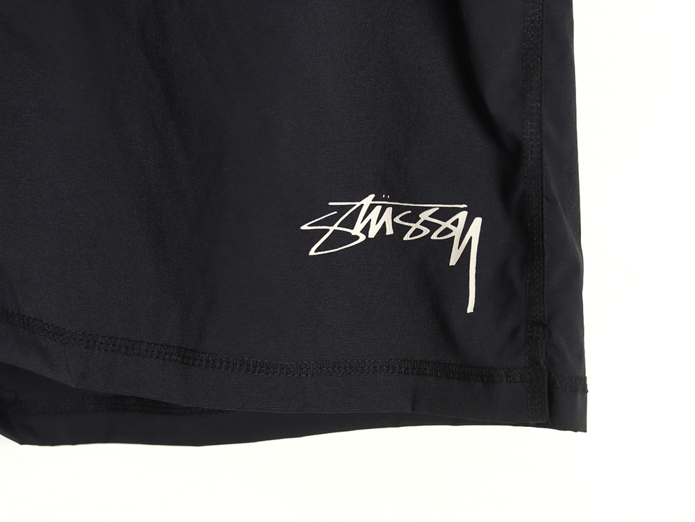 Stussy & Nike Woven Shorts