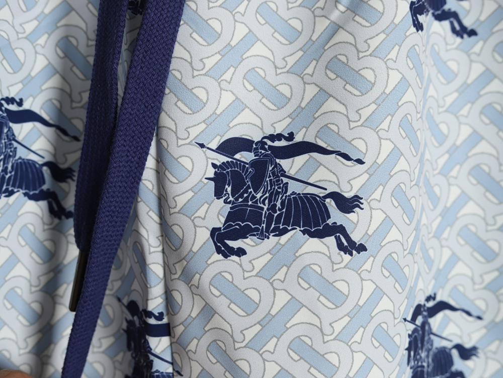 Burberry Warhorse Print Shorts TSK2