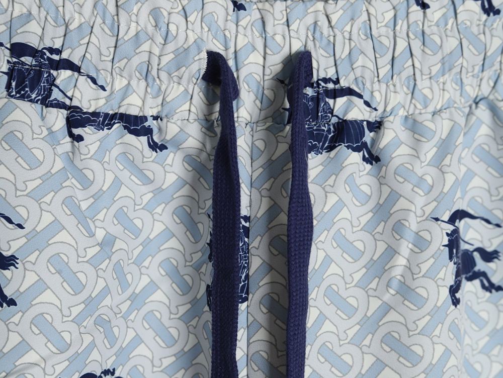 Burberry Warhorse Print Shorts TSK2