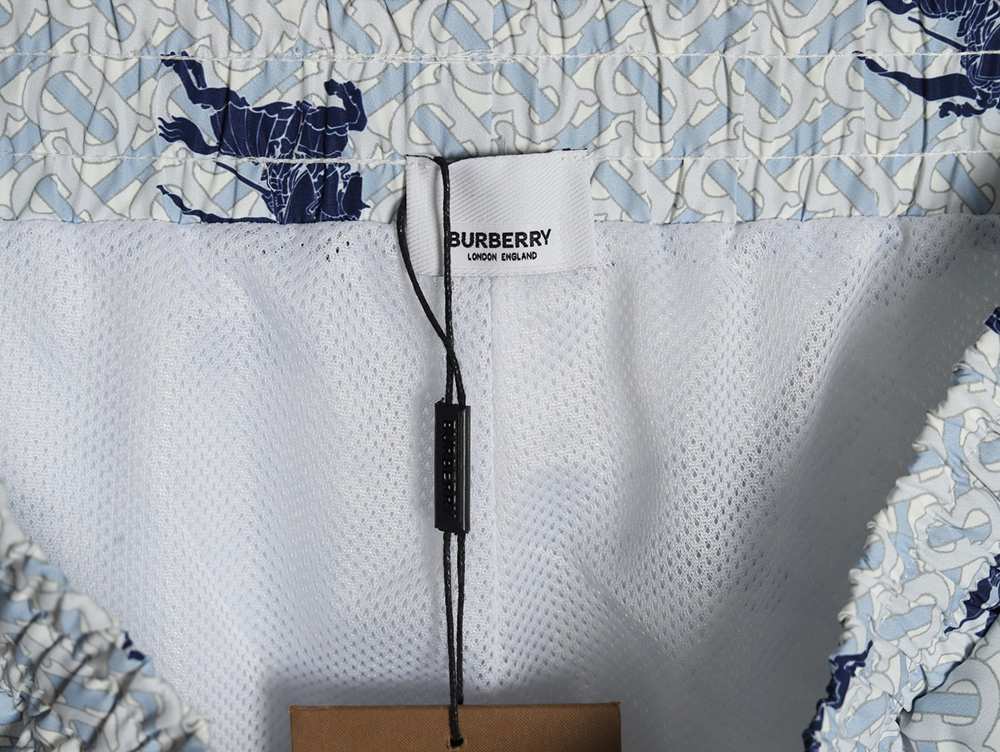 Burberry Warhorse Print Shorts TSK2