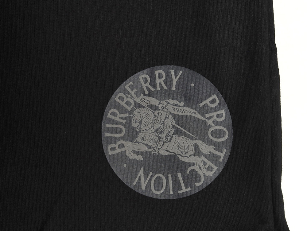 Burberry Warhorse Foam Shorts TSK1