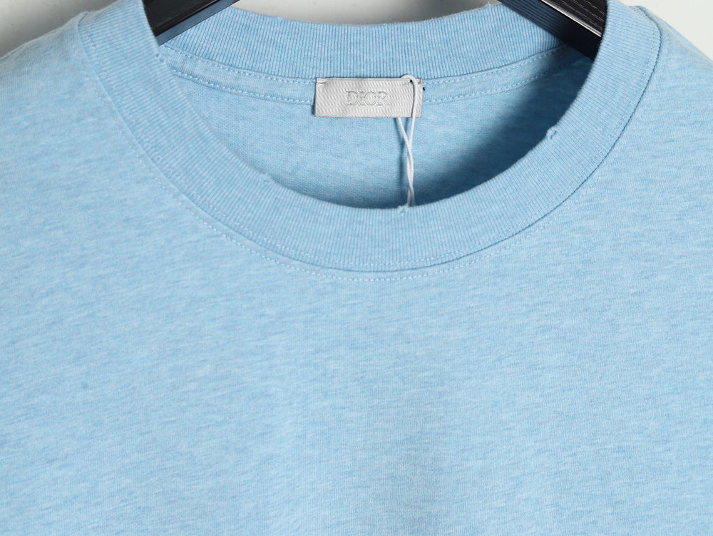 Dior washed distressed letter print short sleeves TSK1