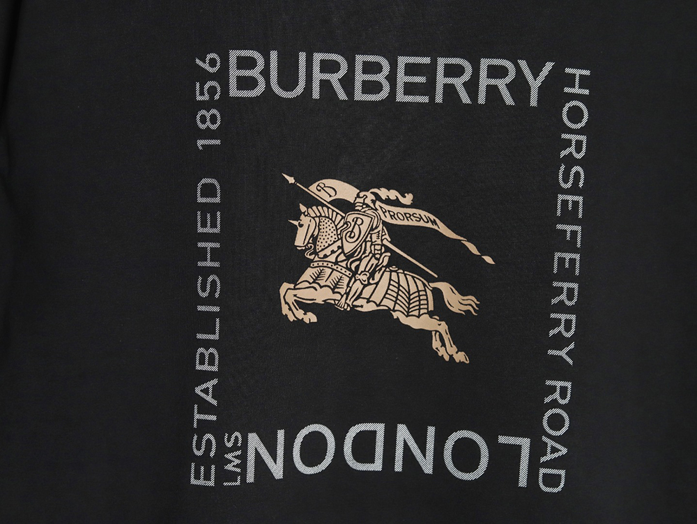 Burberry Square Letter Gold Warhorse Printed Short Sleeve T-Shirt TSK1