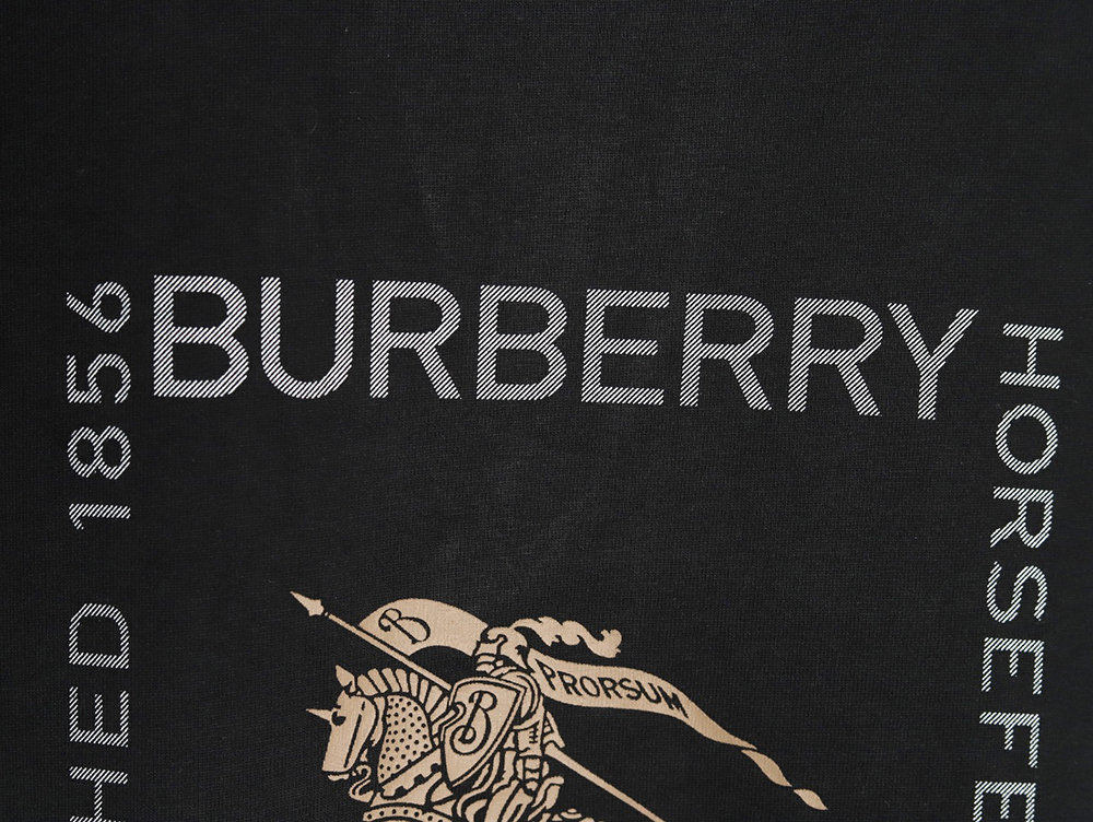 Burberry Square Letter Gold Warhorse Printed Short Sleeve T-Shirt TSK1