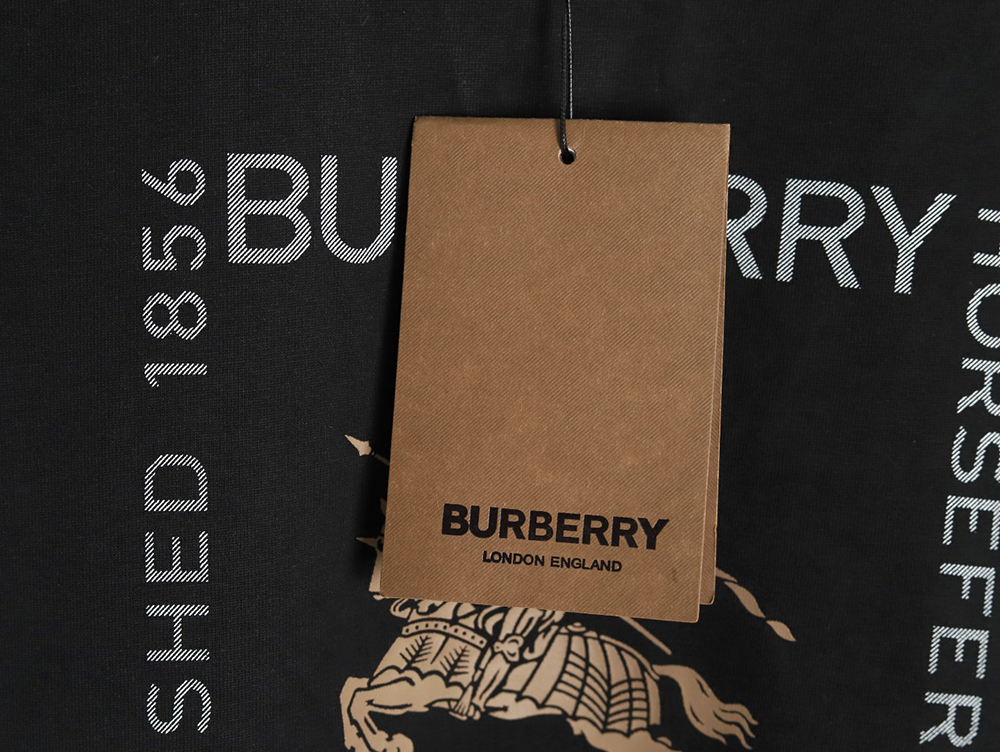 Burberry Square Letter Gold Warhorse Printed Short Sleeve T-Shirt TSK1