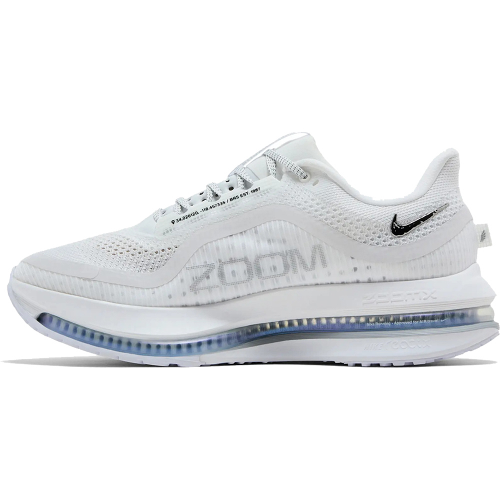Nike Pegasus Premium 'White Metallic Silver'