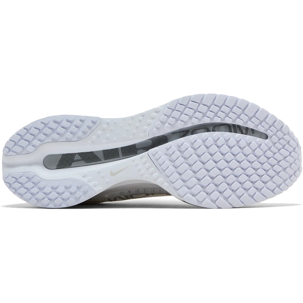 Nike Pegasus Premium 'White Metallic Silver'