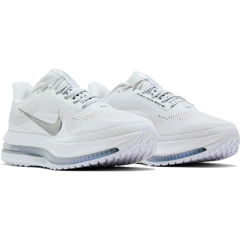 Nike Pegasus Premium 'White Metallic Silver'