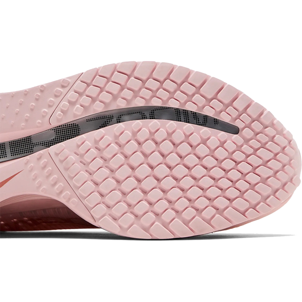 Nike Wmns Pegasus Premium 'Atmosphere'