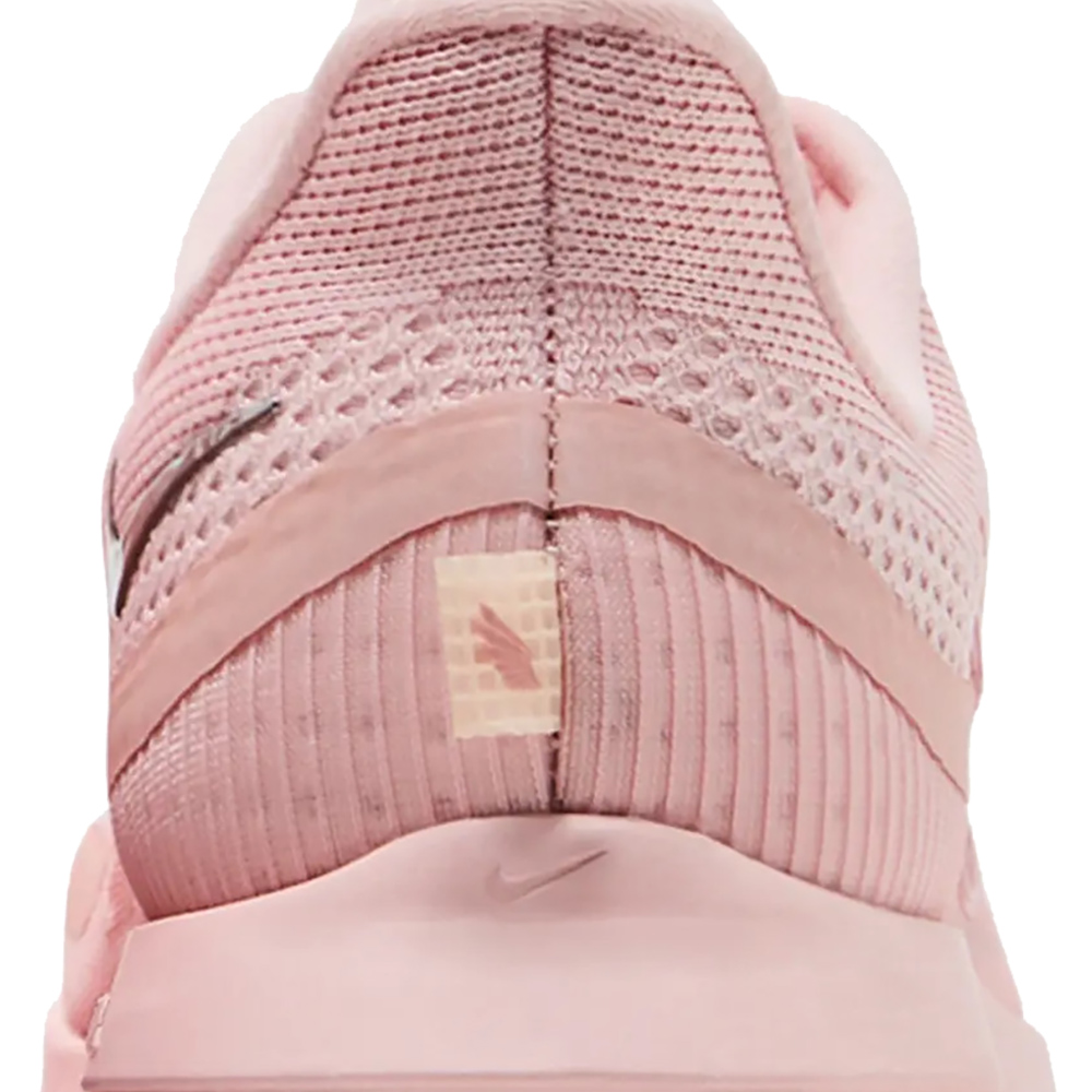 Nike Wmns Pegasus Premium 'Atmosphere'
